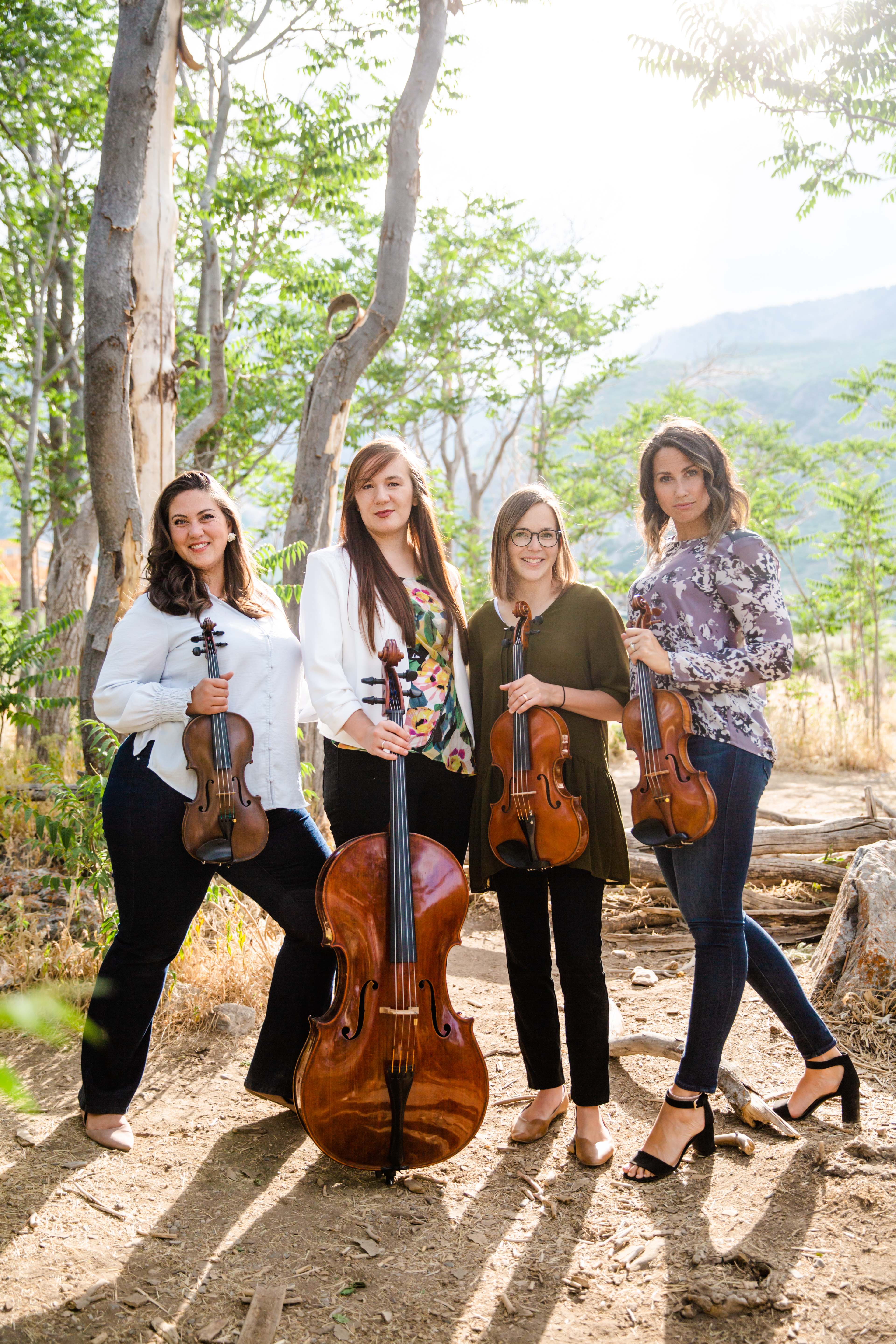 Support the Allante String Quartet