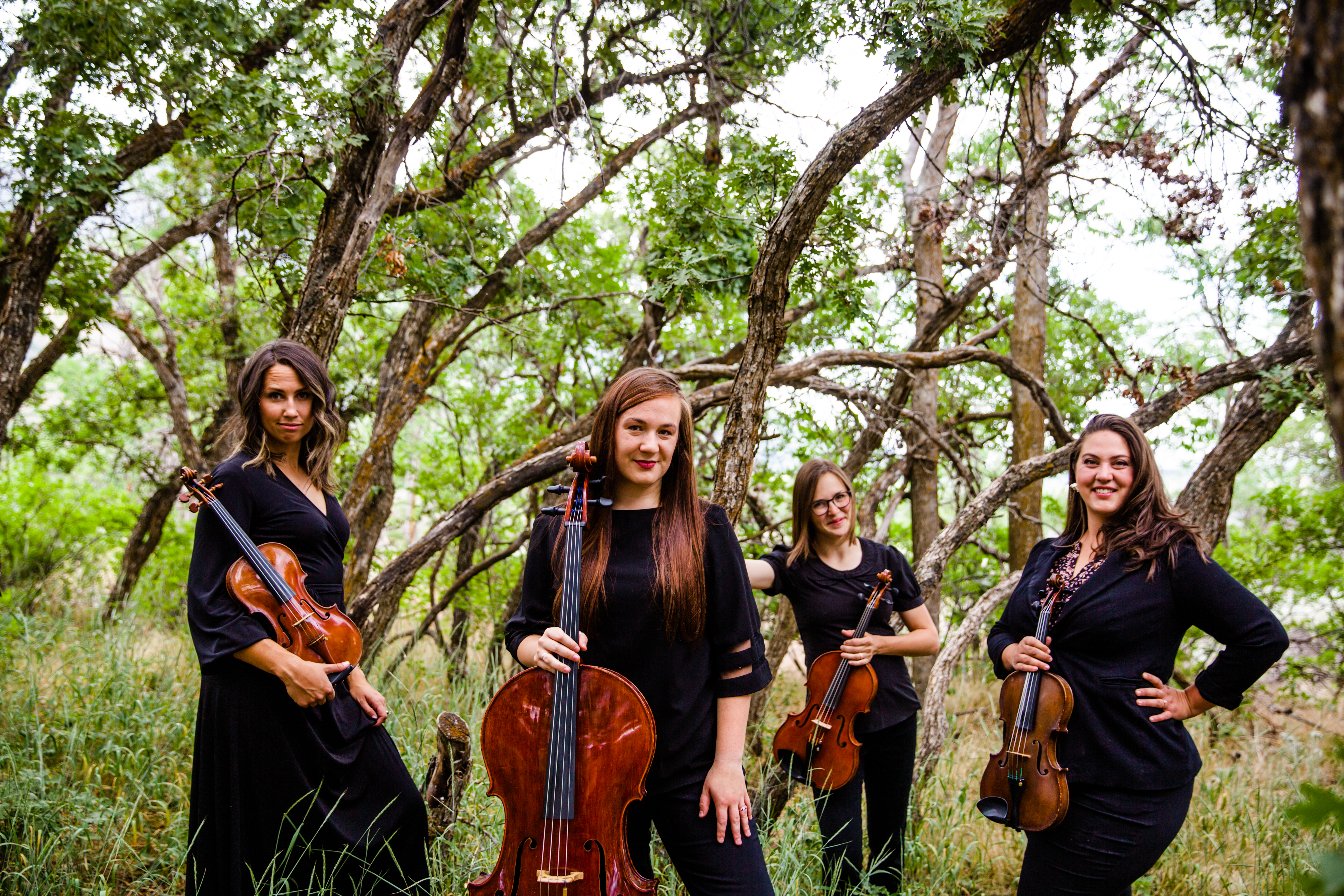Allante String Quartet